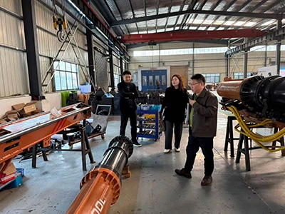 Business Inspection by South Korean Partners